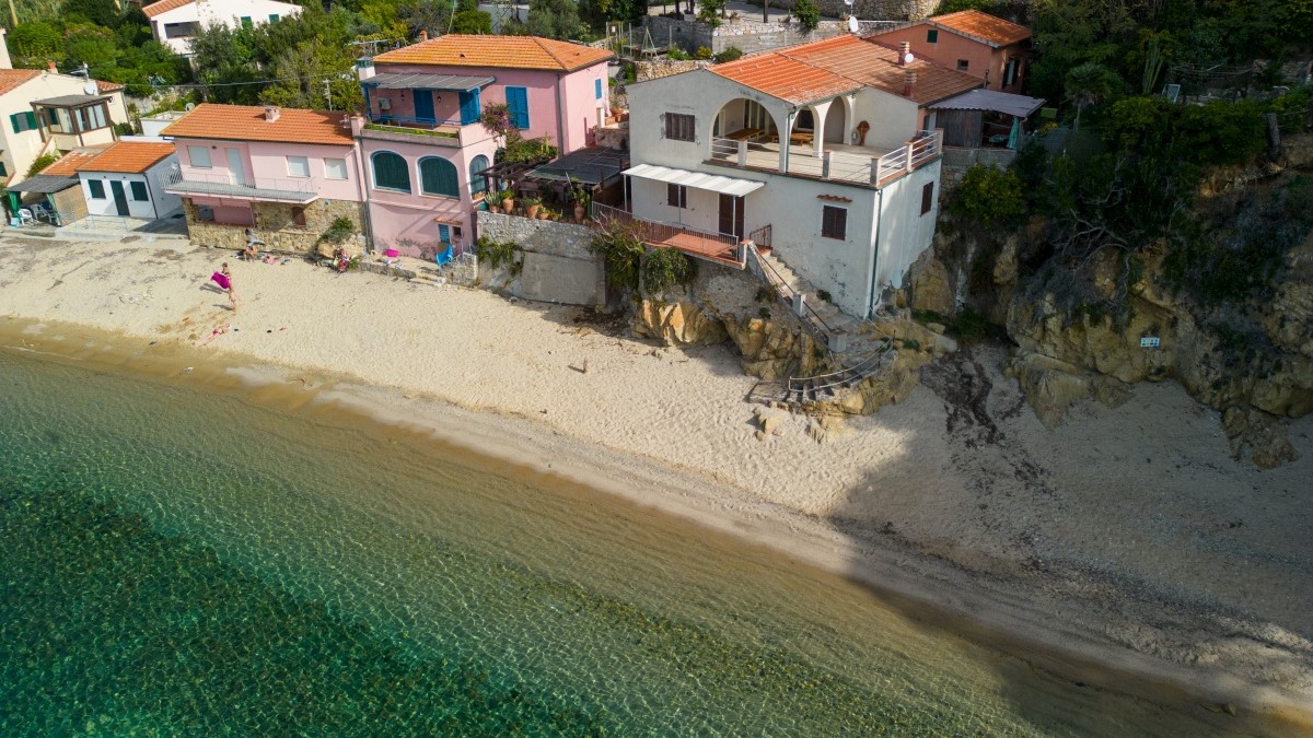 Picture of Gabbiana